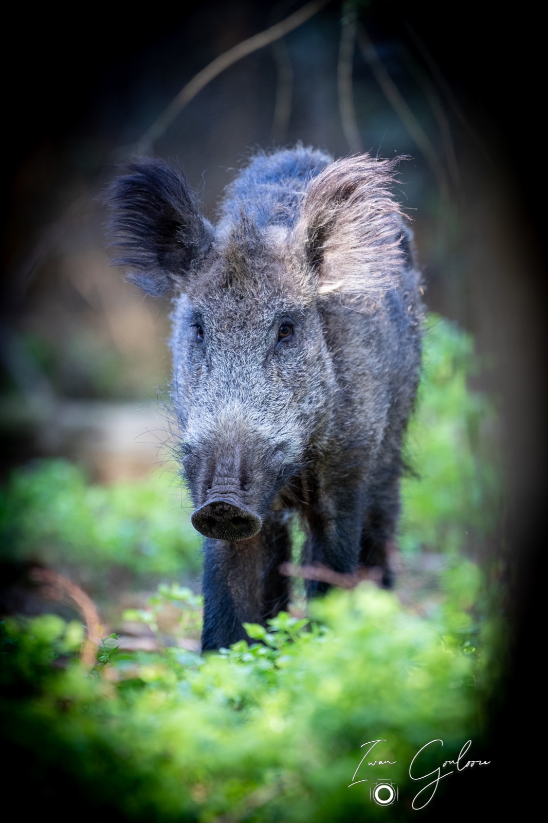 08 mei 2022 180800 1DX42847